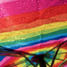 rainbow umbrella by applegater