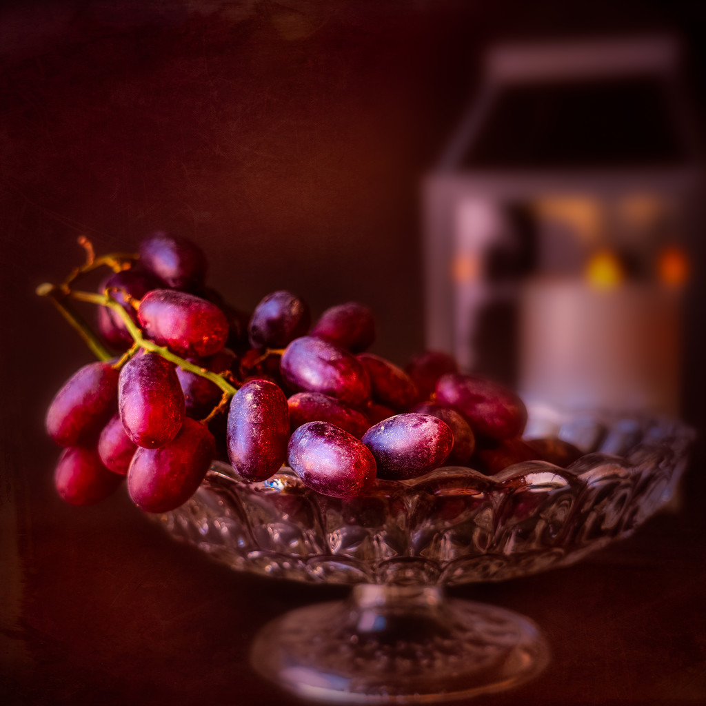 grapes by jernst1779