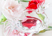 23rd Dec 2020 - Miniature Carnations