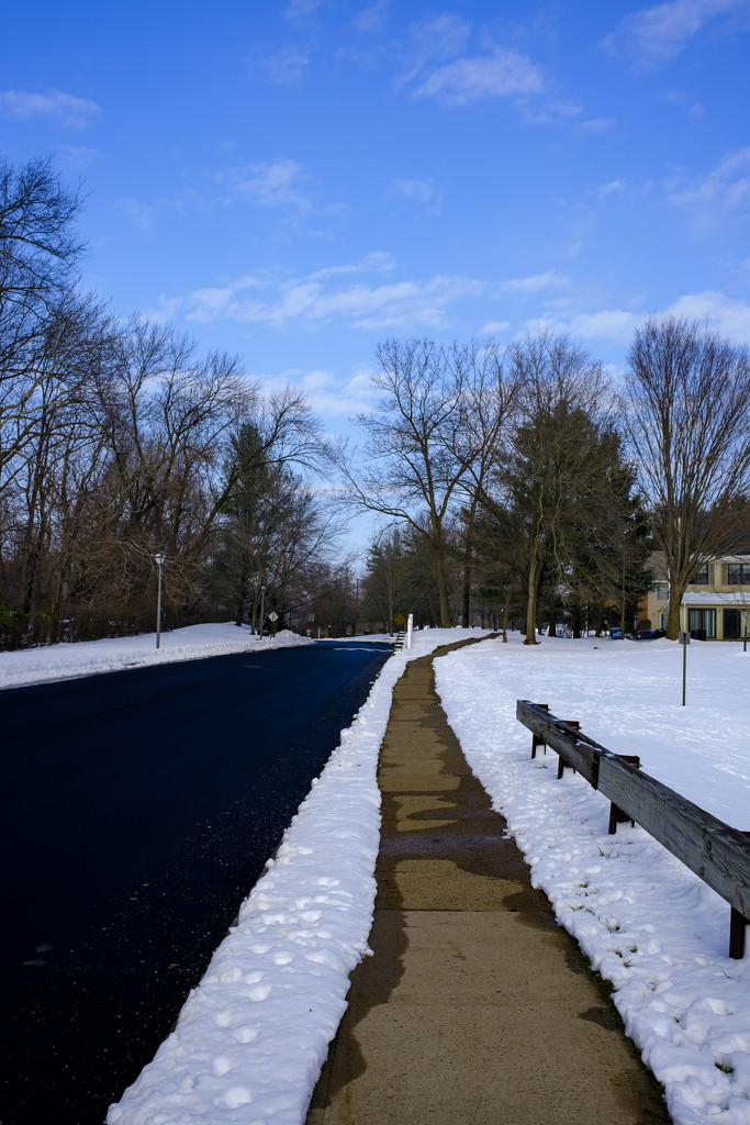 Cold Morning Walk by ramr