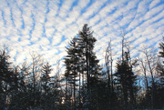 23rd Dec 2020 - Cirrocumulus Vertical Clouds