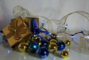 23rd Dec 2020 - the blue and gold
