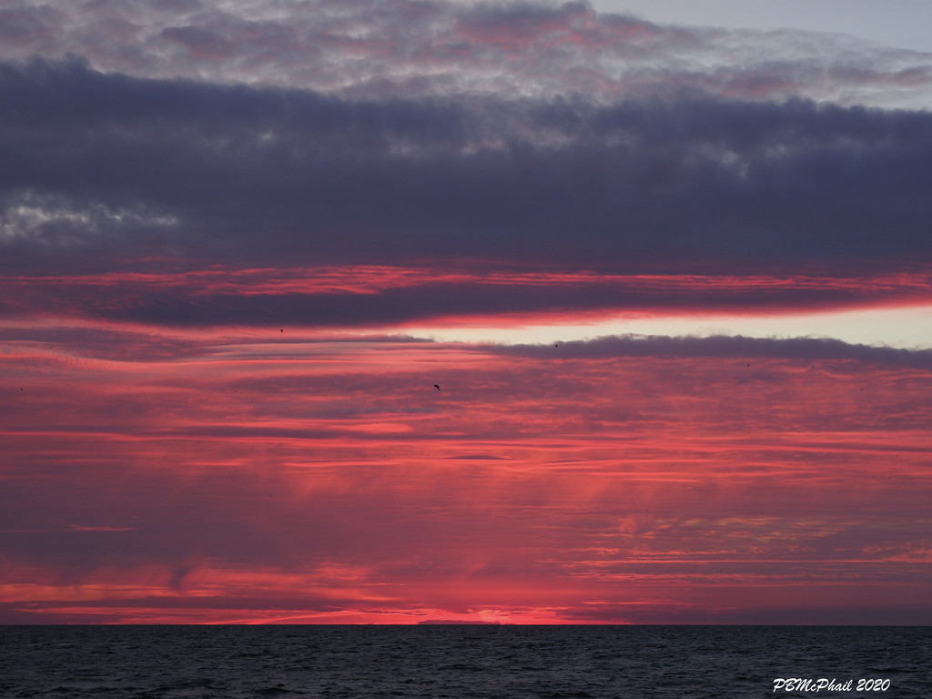 Red Sky in the Morning by selkie