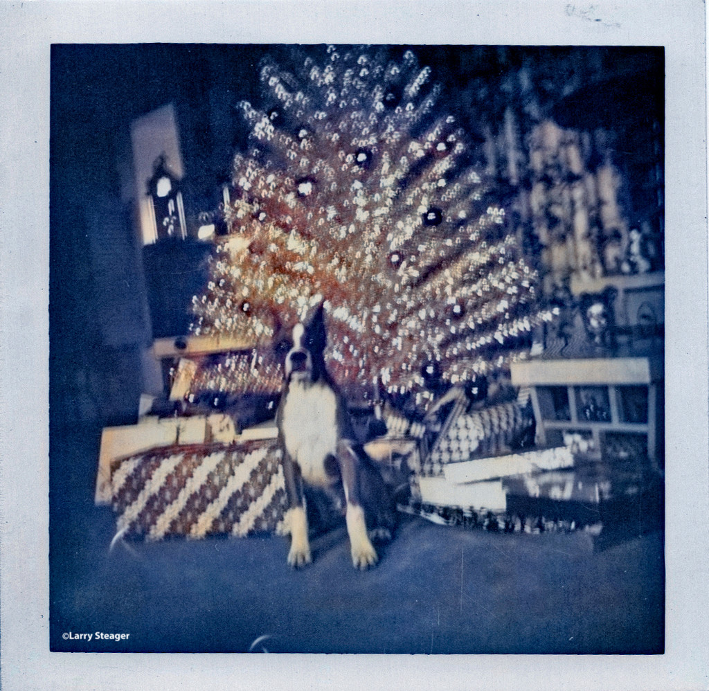 1962 Topper and Aluminum tree by larrysphotos