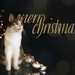 2020-12-24 Frohe Weihnachten / Joyeux Noël / Merry Christmas / Buon Natale / Feliz Navidad / Bunas festas da Nadal by mona65