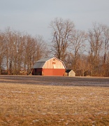 5th Jan 2011 - Farmland