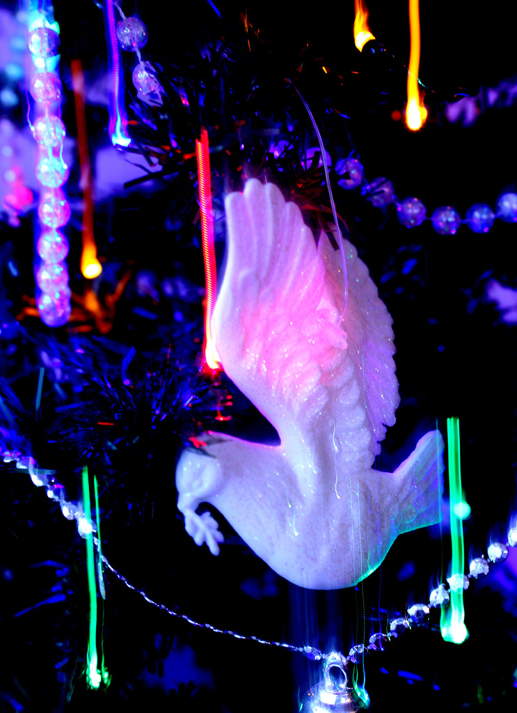 Dec 21st Dove of Peace by valpetersen