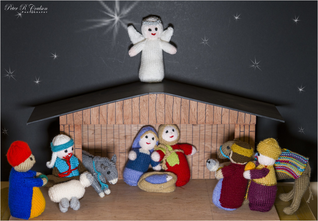Knitted Nativity by pcoulson