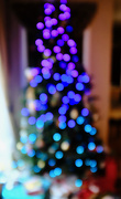 24th Dec 2020 - Christmas Tree