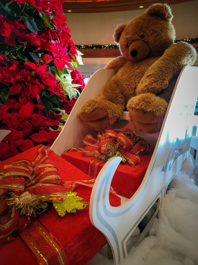 Wanted: Sleigh-Stealing Teddy Bear by swchappell