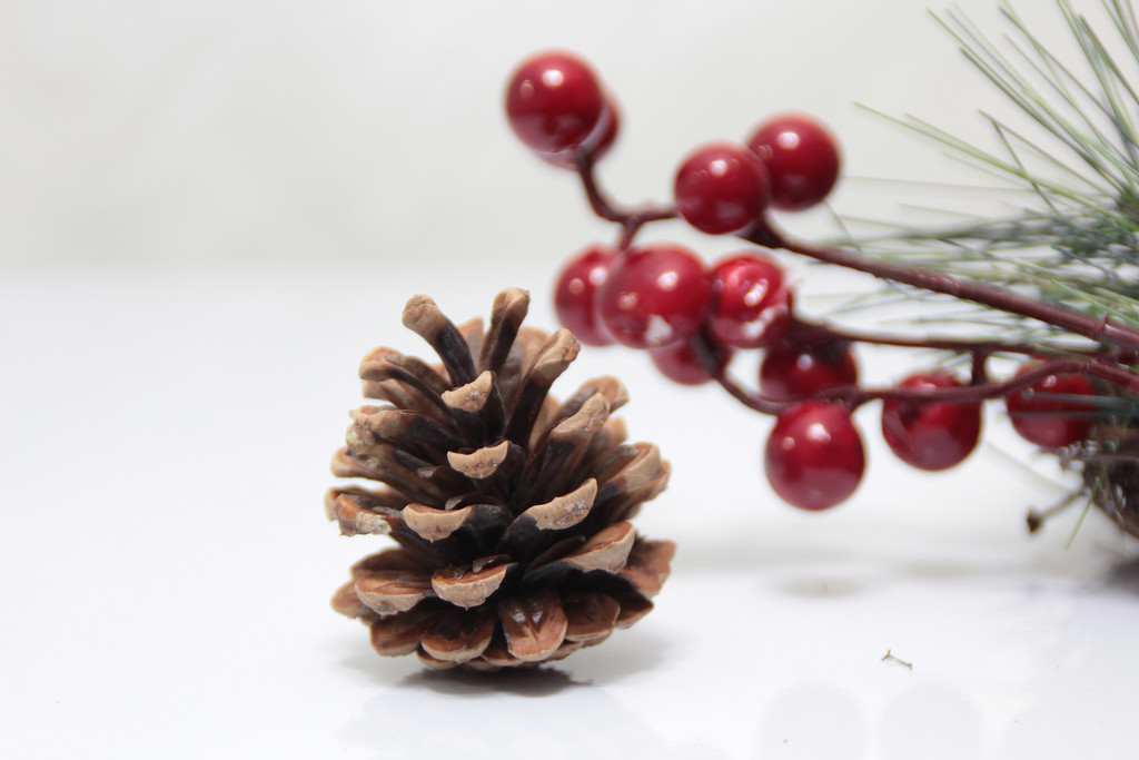 berries and pine cone by summerfield