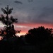 25 Xmas Sunset by sandradavies