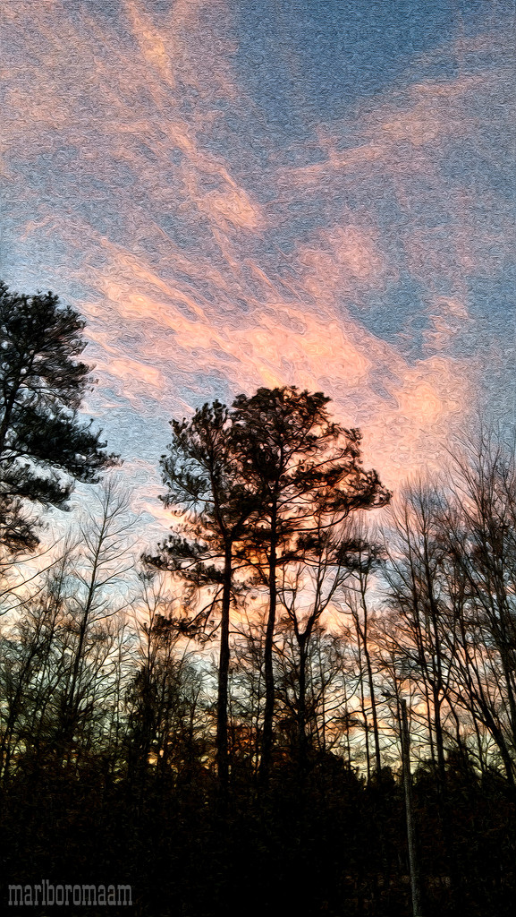 Painted pink clouds... by marlboromaam