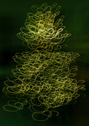 25th Dec 2020 - Tree of Light