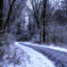 Winter Tracks by ggshearron
