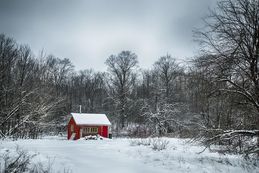 Winter Wonderland by pdulis