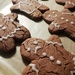 Baking gingerbread cookies by nami