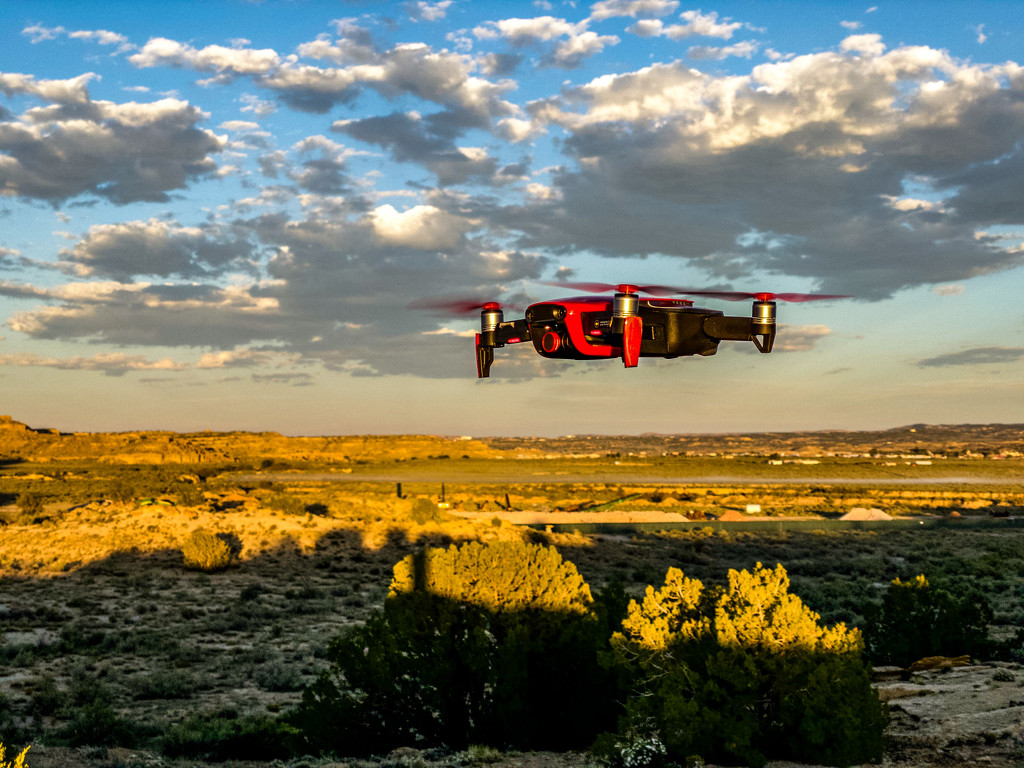 getting ready to fly by jeffjones