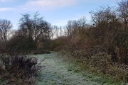 25th Dec 2020 - On a cold and frosty morning