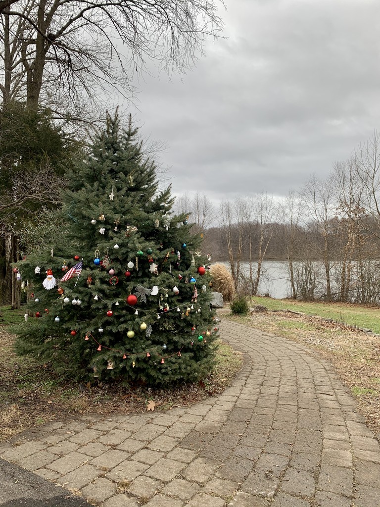 Community Christmas Tree by kimhearn