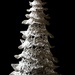 O Christmas Tree by grammyn