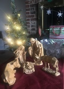 25th Dec 2020 - Nativity, Christmas Morning