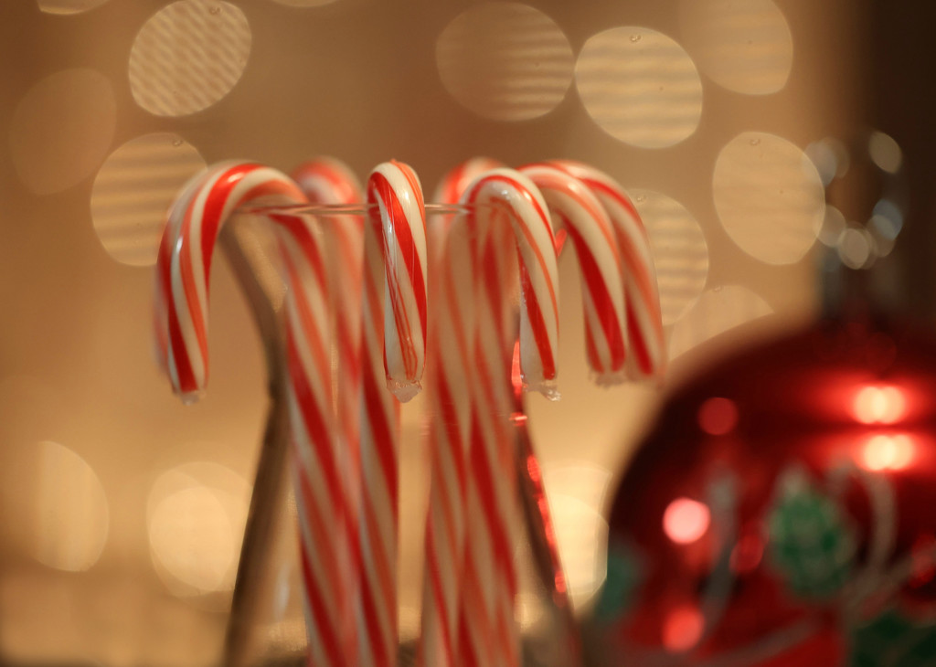 Candy Canes by lynnz
