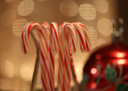 16th Dec 2020 - Candy Canes
