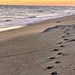 Footprints  by wilkinscd