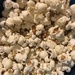 x-mas popcorn  by annymalla