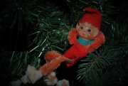25th Dec 2020 - Day 360: My Elf on the Tree