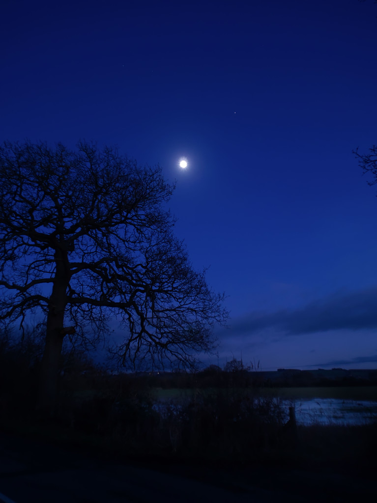 The moon reflected in a flooded field by jon_lip