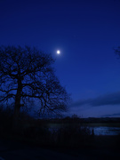 26th Dec 2020 - The moon reflected in a flooded field
