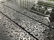 24th Oct 2020 - Raindrops on Fresh Work