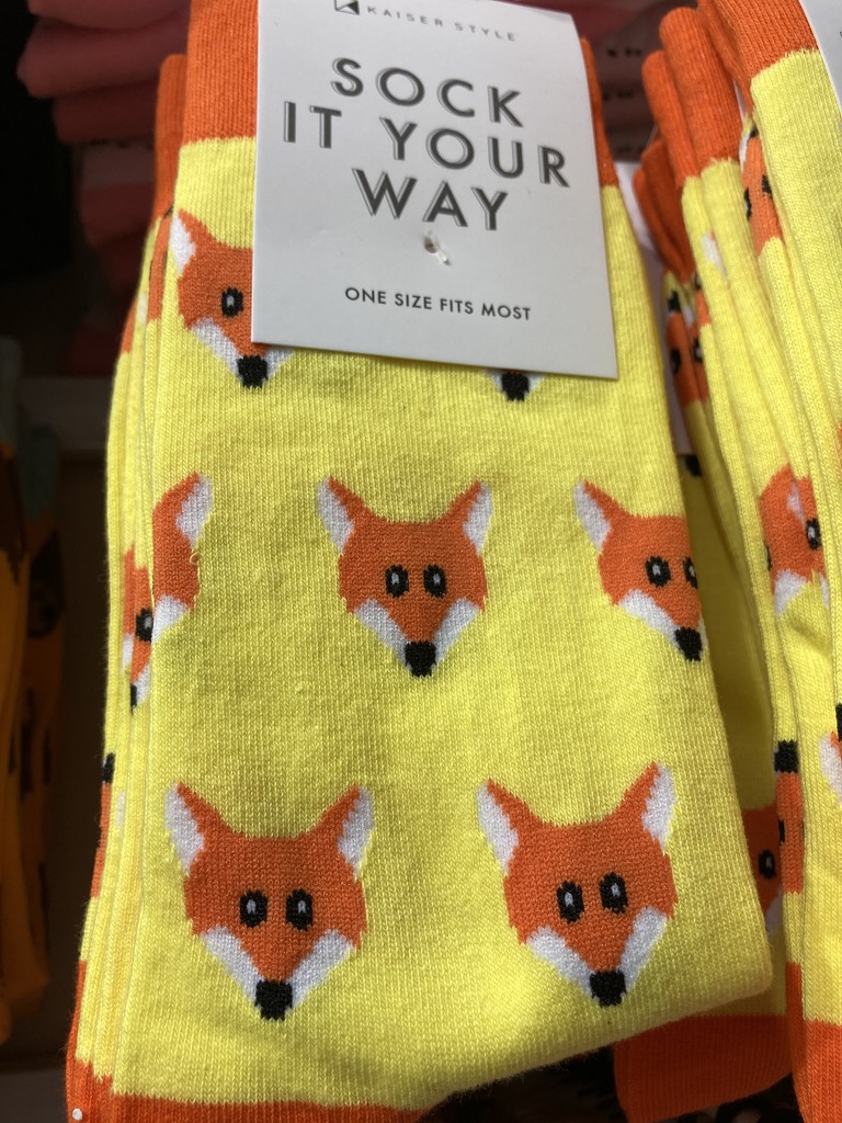 Fox on Socks by alisonjyoung