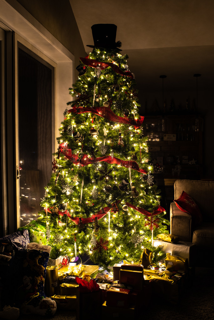 Our Tree by kwind