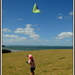 The junior kiteflyer by dide