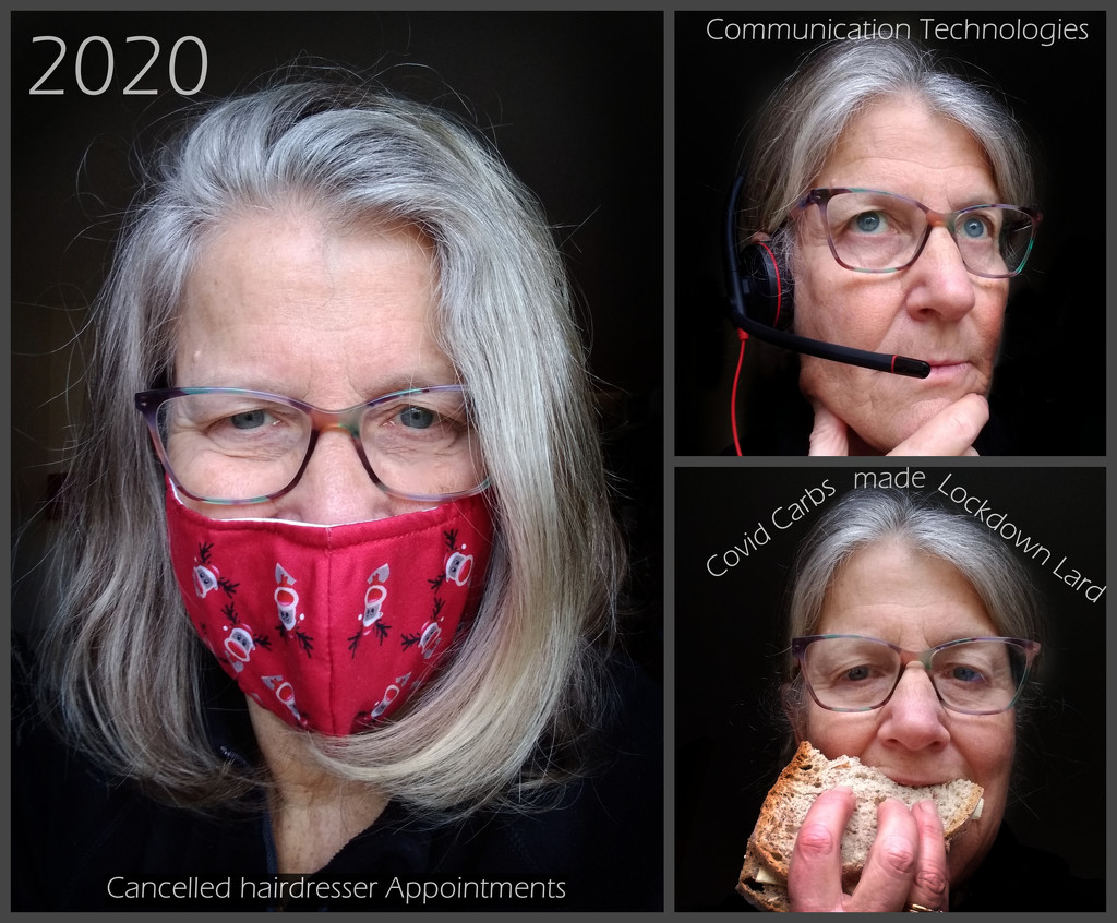 2020 in Three Selfies by thedarkroom