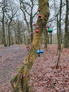 28th Dec 2020 - Baubles in the woods.