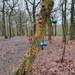 Baubles in the woods. by janetr