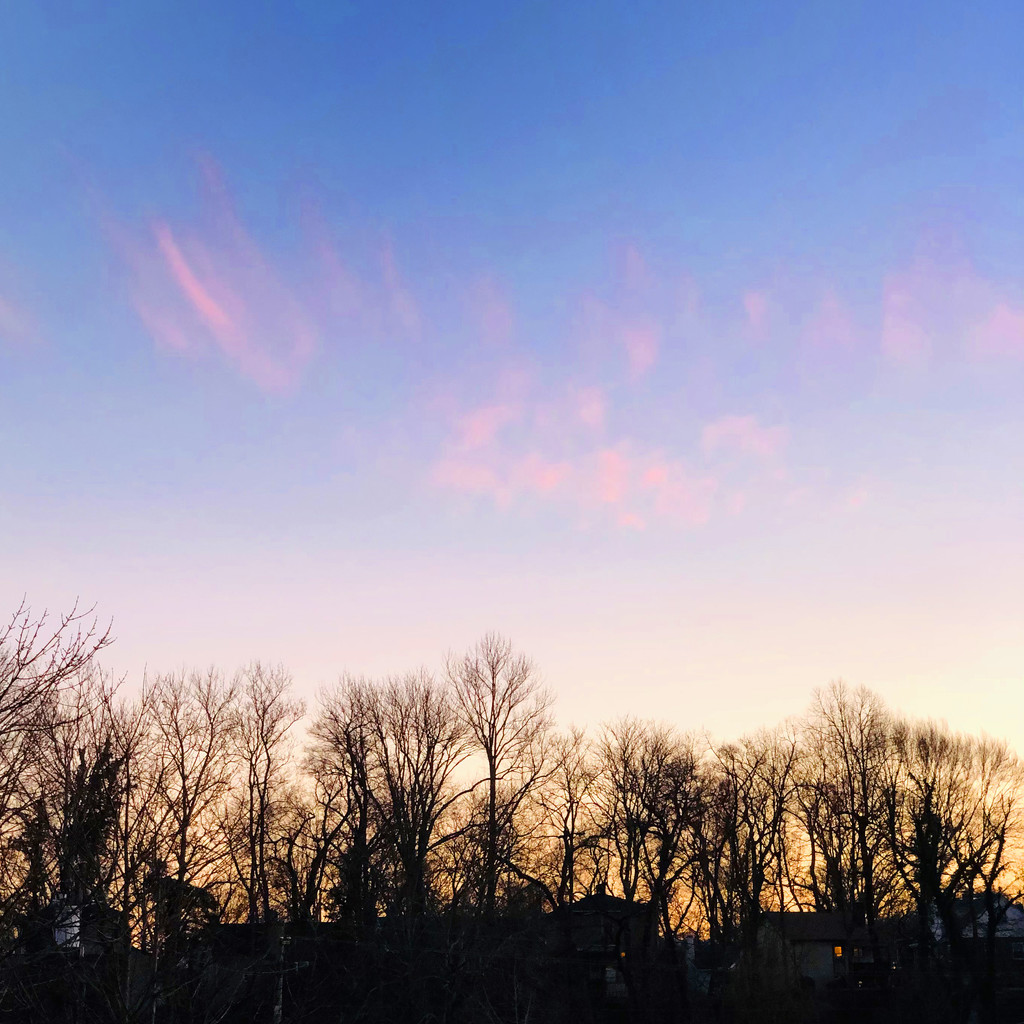 Pink & Blue Sky by yogiw
