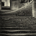1228 - Chapter House Steps, Well Cathedral by bob65