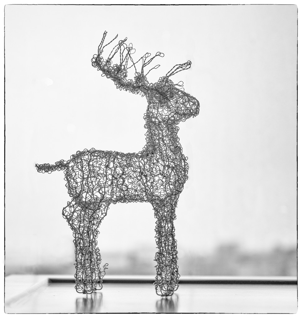 Wired Reindeer by sprphotos