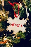 27th Dec 2020 - Dream a little dream