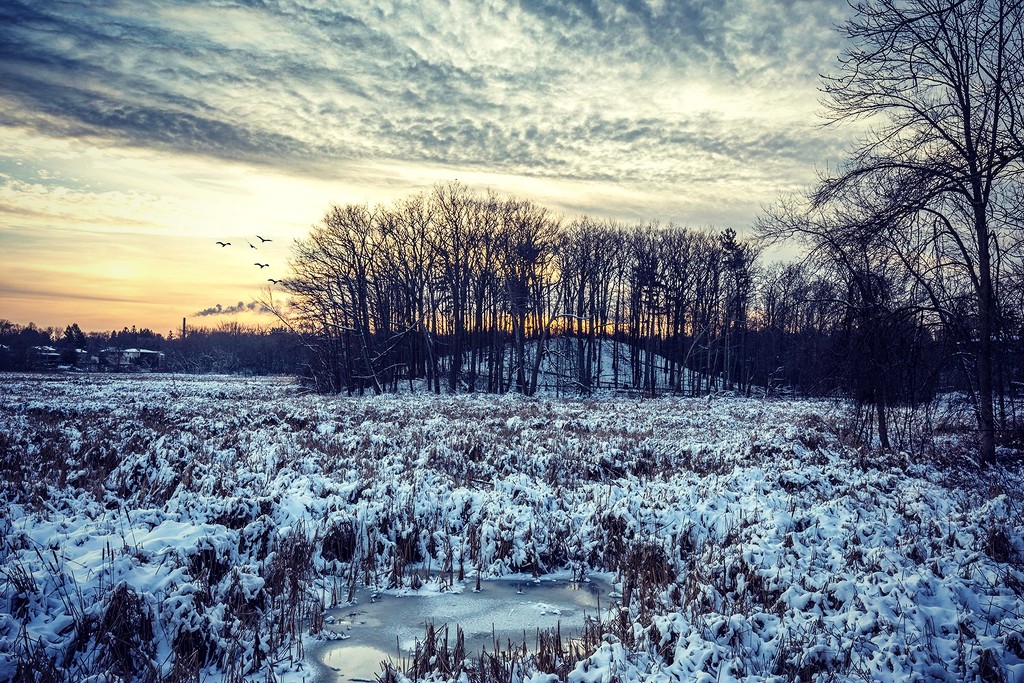 Rattray Marsh Winter Sunset by pdulis