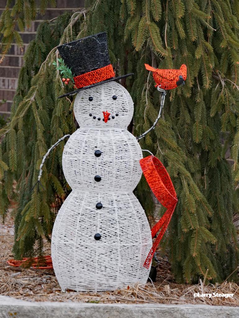 Frosty wishing you a Merry Christmas by larrysphotos