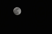 28th Dec 2020 - Almost the last full moon of 2020