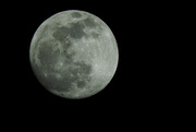 28th Dec 2020 - Moon up close