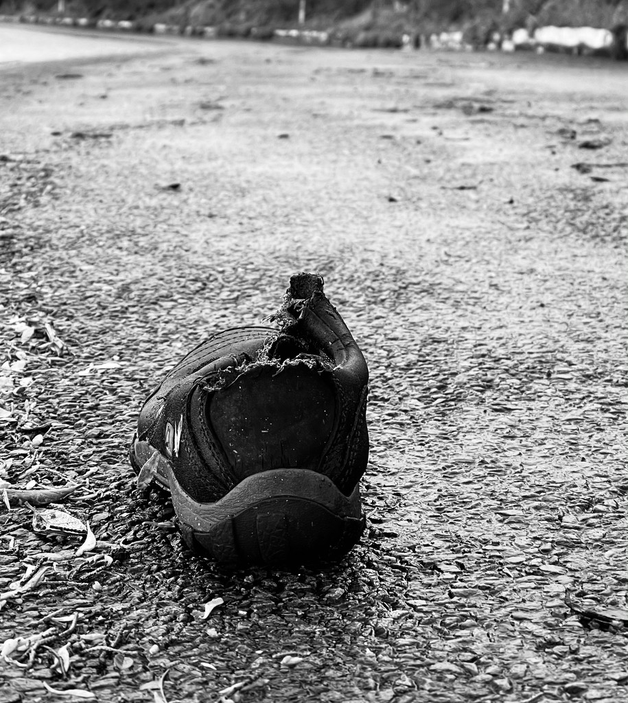 The shoe left behind by bill_gk
