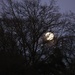 Moonlight by phil_sandford